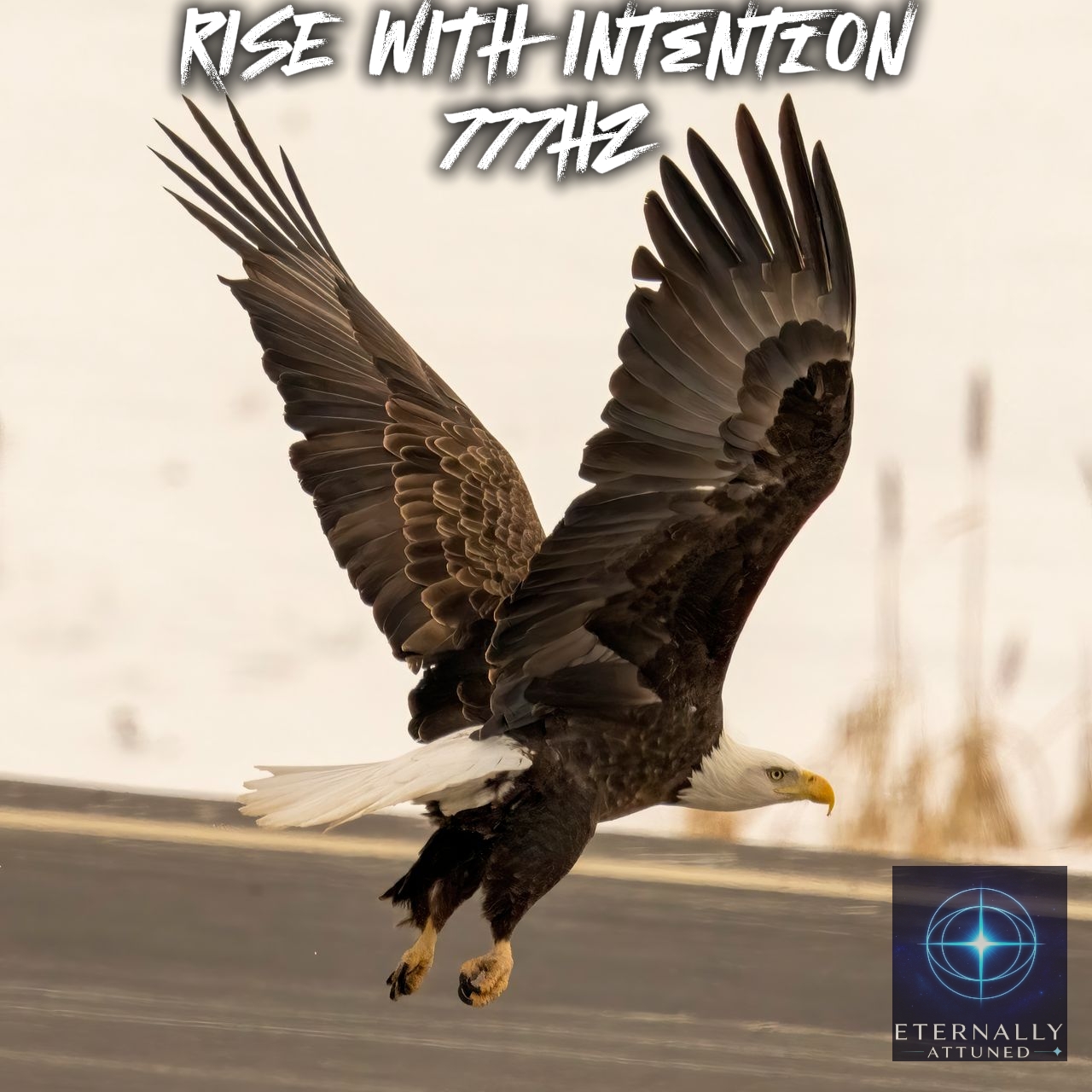 Rise With Intention — 777 Hz